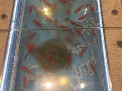 -芝麻花餐厅(祁家豁子店)
