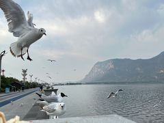 -滇池海埂公园