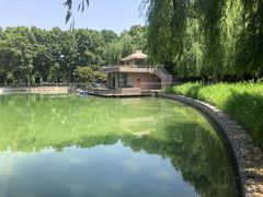 -黄村公园