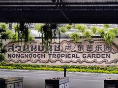 -东芭乐园