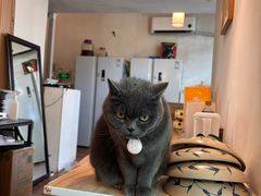 -春笙食堂.丼饭拉面寿司(GOGO新天地店)