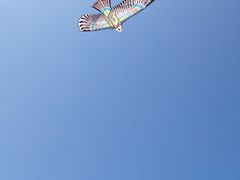 -白沙门生态公园