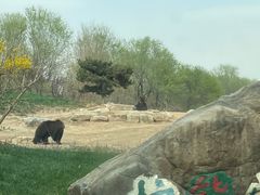 -北京野生动物园