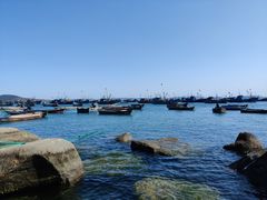 -海源公园