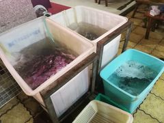 水产区-金海椒罐罐鲢鱼(东方桂苑店)