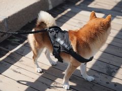 -青岛第三海水浴场