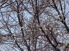 -星河湾温泉洗浴酒店