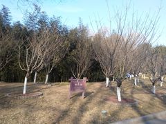 -丰台花园