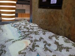 -金钉子远古世界景区