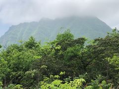 -山王坪喀斯特国家生态公园