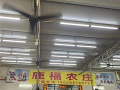 -鹿福农庄(南沙天后宫店)