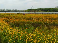 -海珠湖公园