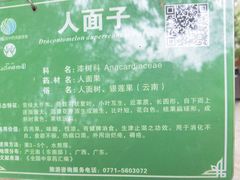 -广西壮族自治区药用植物园