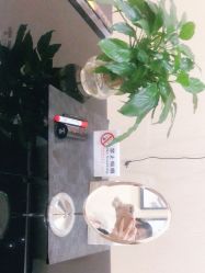 -JUVA欧华医美连锁