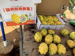 -硇洲岛旅游区