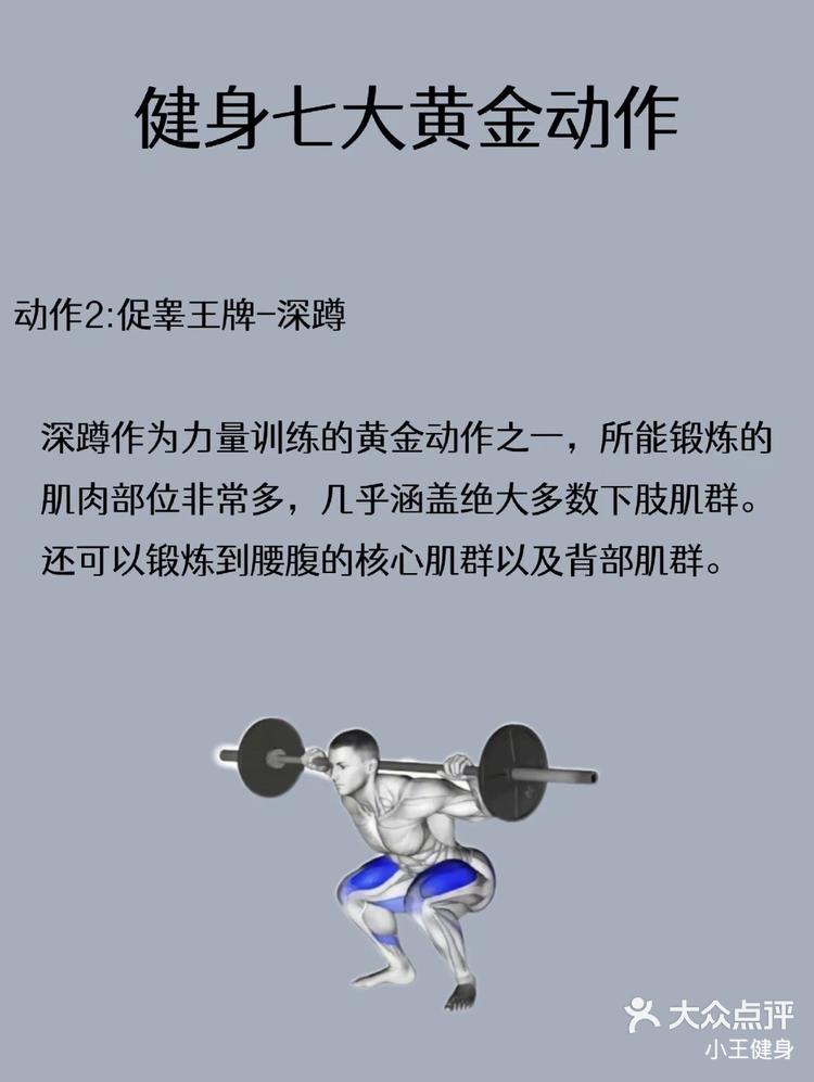 健身四大黄金动作图片