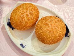 开心大麻圆-陶然居·重庆菜(鱼洞老街店)