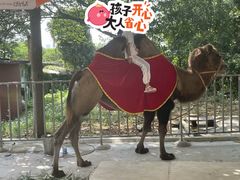 -合肥野生动物园