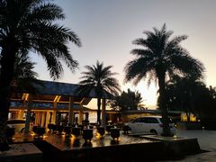 -日落吧·海景咖啡厅·餐酒吧·鸡尾酒·下午茶·乐队表演·浪漫夕阳·三亚文华东方酒店