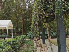 -白云山风景名胜区