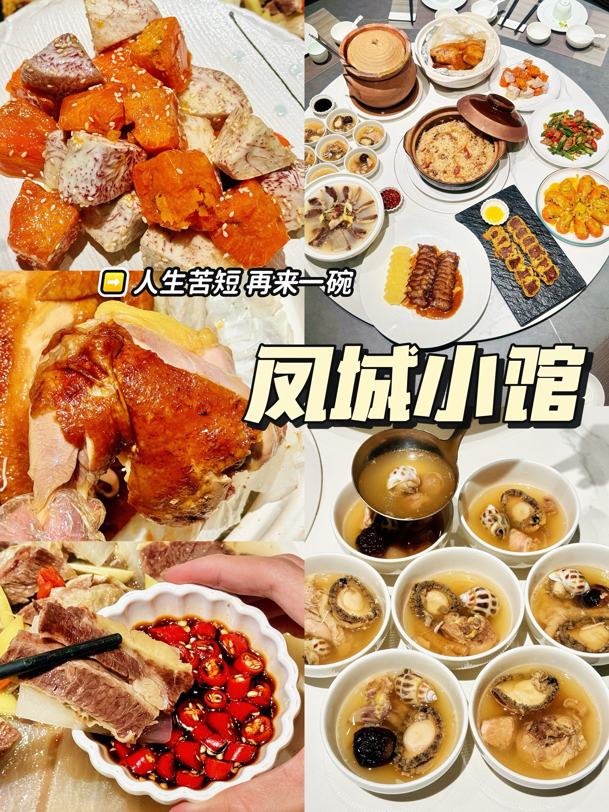 阳江酒店餐饮的简单介绍 阳江旅店


餐饮的简单

先容
 餐饮