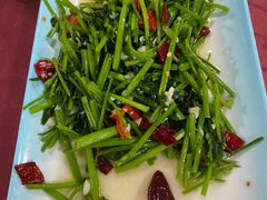 -马白开来特色羊排揪片子  (总店)