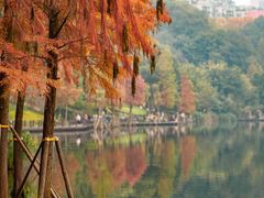 -重庆彩云湖湿地公园