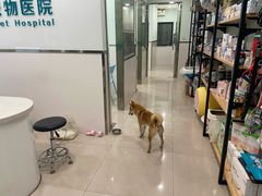 -佳雯宠物医院