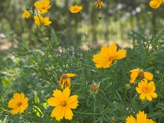 -大兴滨河森林公园