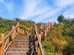 -大岭沟猕猴桃谷风景区