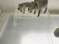 -大连旅顺潜艇博物馆
