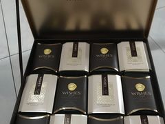 -卡萨米亚动物奶油生日蛋糕(牡丹城店)