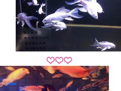 -zoonana室内动物园(东方福来德店)