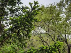 -沈阳辉山风景区