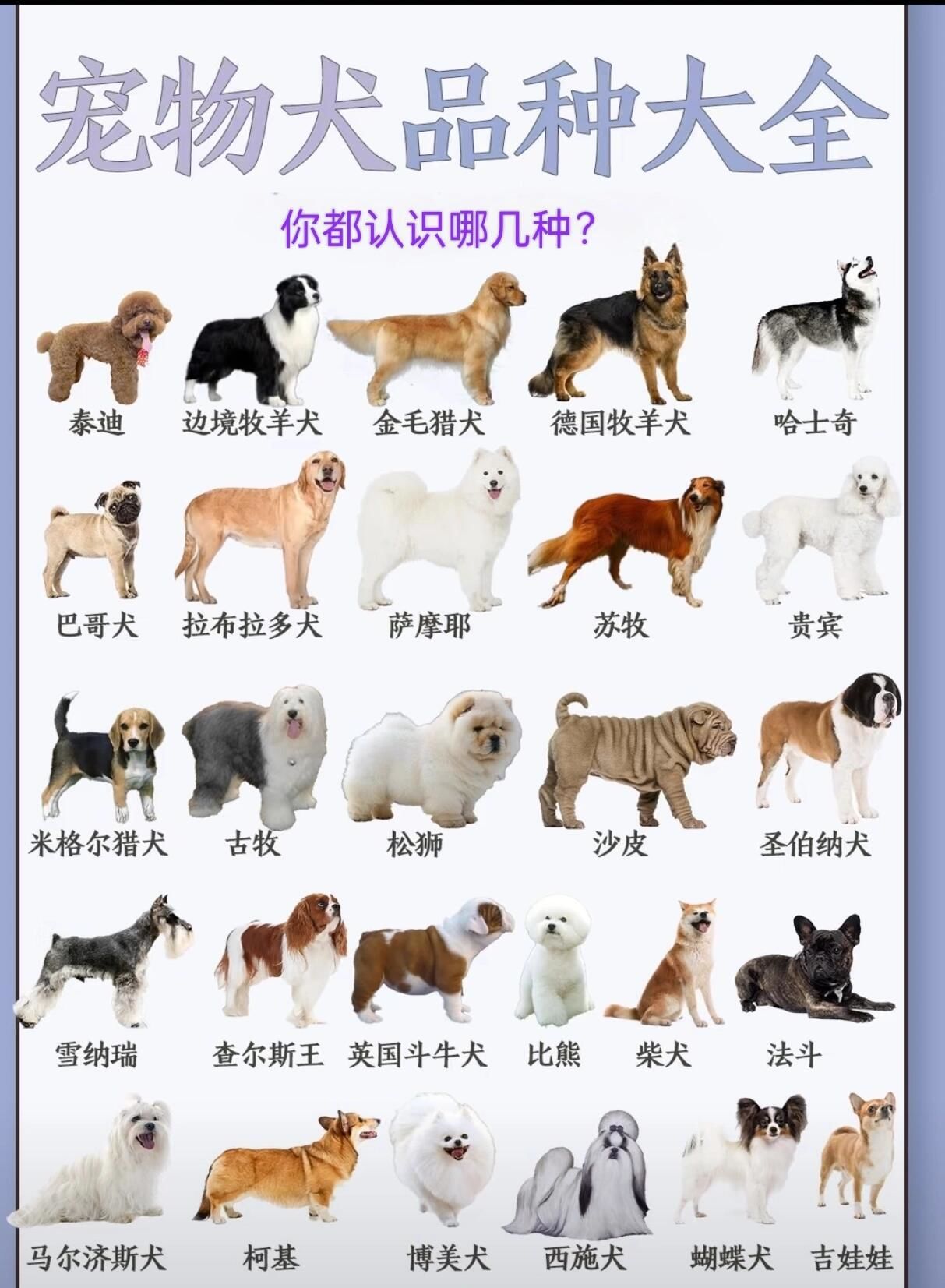 哈希娱乐- 哈希游戏平台- 哈希游戏官方网站沈阳：激活它消费 点亮它经济