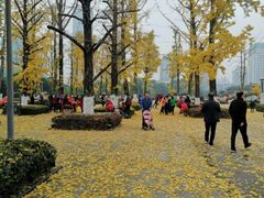-百林公园-两江幸福广场