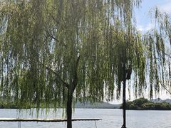 -浙江省博物馆(孤山馆区)