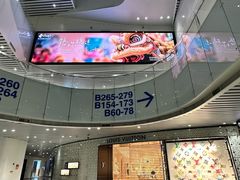 -广州白云国际机场-T2航站楼