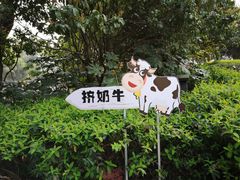 -金鸡湖桃花岛