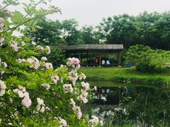 -尚贤河湿地