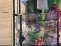 -藦茜花园宠物主题亲子互动体验馆(国顺东路店)