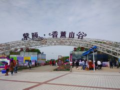 -紫颐香薰山谷景区