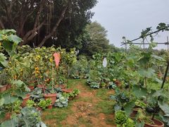 -广州长隆飞鸟乐园