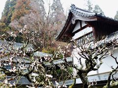 -三千院