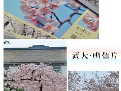 -武汉大学-樱园