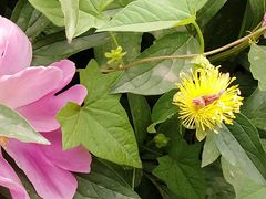 -木塔寺遗址生态公园
