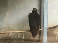 -北京市海淀外国语实验学校