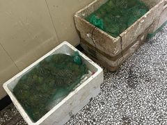 -邱氏胖泥鳅(大堰店)