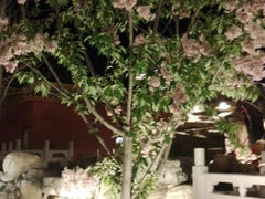 android_upload_pic-北京九华山庄会展酒店