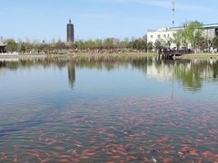 -西海子公园